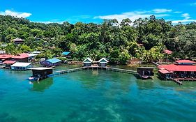 The Sea Monkey Bocas Town 2*
